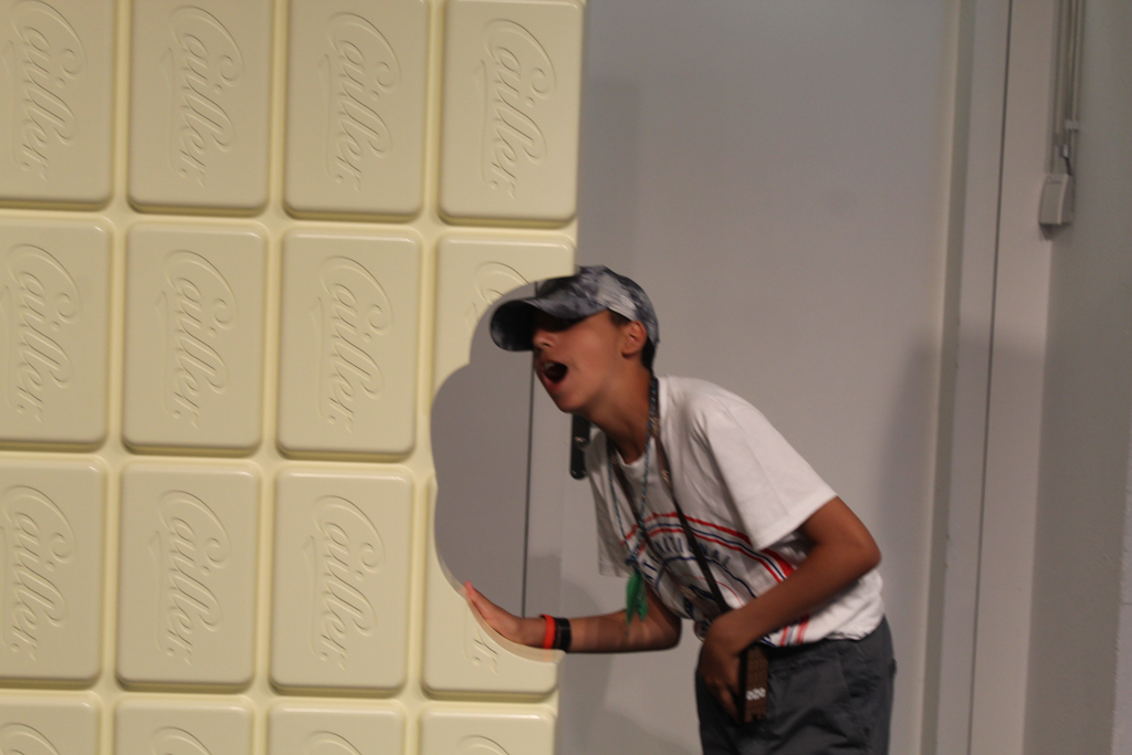 Village Camps International Summer Camp Leysin, Switzerland 2025-08-09 https://www.villagecamps.com/journals_admin/images/2494-3405-IMG_1410.jpg