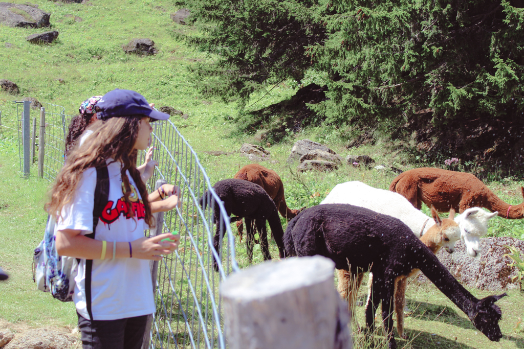 Village Camps International Summer Camp Leysin, Switzerland 2026-08-15 https://www.villagecamps.com/journals_admin/images/2497-2525-IMG_1675.jpg Village Camps International Summer Camp Leysin, Switzerland 2026-08-15 https://www.villagecamps.com/journals_admin/images/2497-2525-IMG_1675.jpg