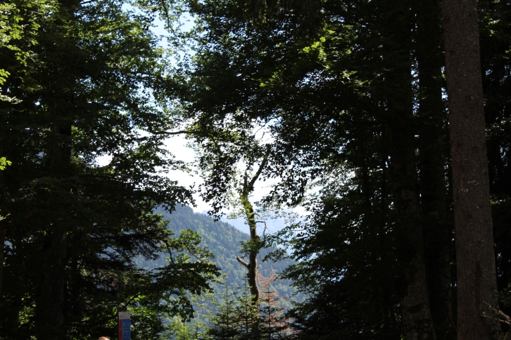 Village Camps International Summer Camp Leysin, Switzerland 2025-08-09 https://www.villagecamps.com/journals_admin/images/2592-3957-IMG_0292.jpg Village Camps International Summer Camp Leysin, Switzerland 2025-08-09 https://www.villagecamps.com/journals_admin/images/2592-3957-IMG_0292.jpg
