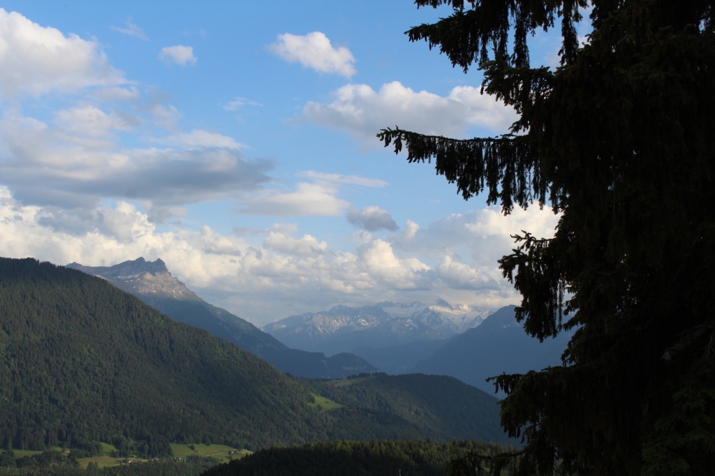 Village Camps International Summer Camp Leysin, Switzerland 2025-08-09 https://www.villagecamps.com/journals_admin/images/2592-3964-IMG_0497.jpg