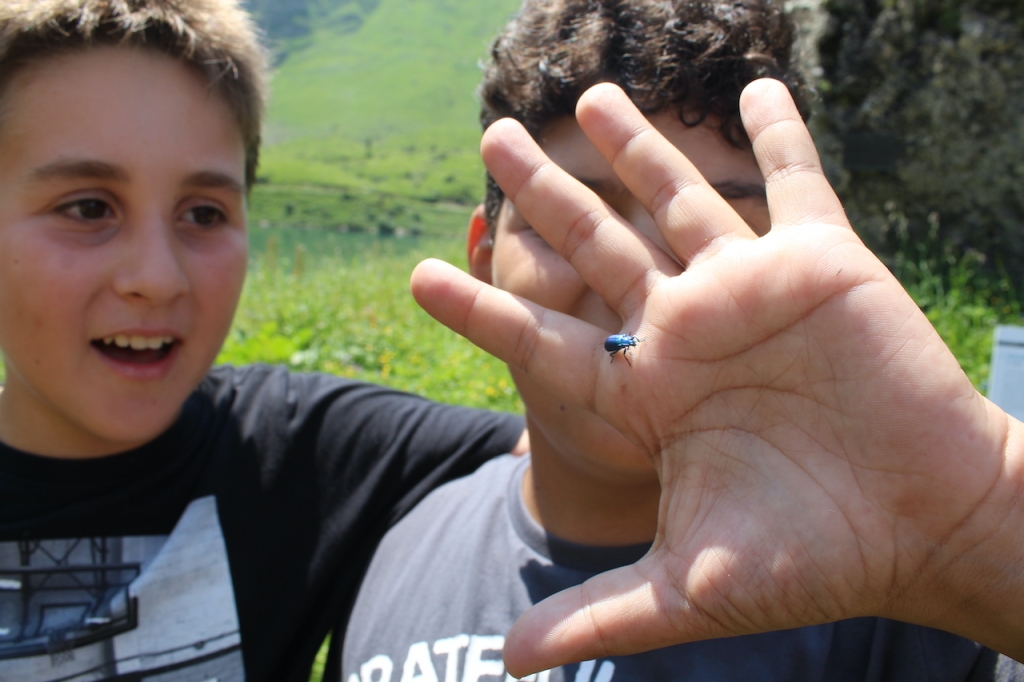 Village Camps International Summer Camp Leysin, Switzerland 2026-08-15 https://www.villagecamps.com/journals_admin/images/2598-4520-IMG_9012.jpg