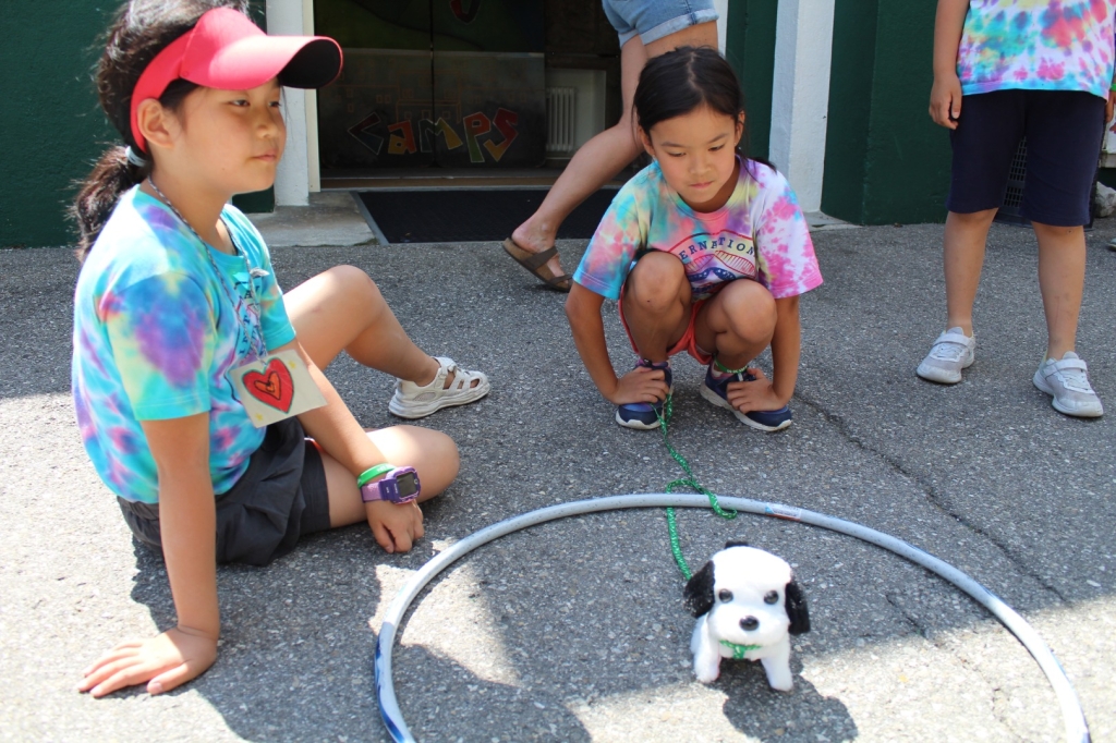 Village Camps International Summer Camp Leysin, Switzerland 2025-08-09 https://www.villagecamps.com/journals_admin/images/2605-7989-IMG_3963.jpg