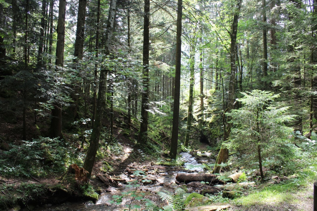 Village Camps International Summer Camp Leysin, Switzerland 2025-08-09 https://www.villagecamps.com/journals_admin/images/2612-4510-VC14.jpg