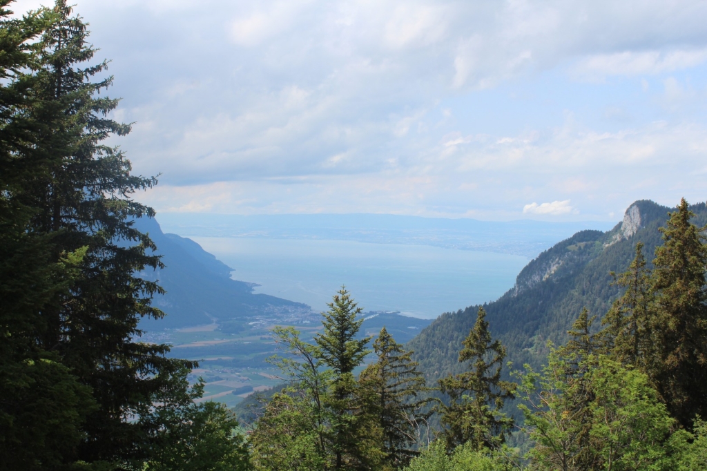 Village Camps International Summer Camp Leysin, Switzerland 2025-08-09 https://www.villagecamps.com/journals_admin/images/2615-0053-IMG_6200.jpg