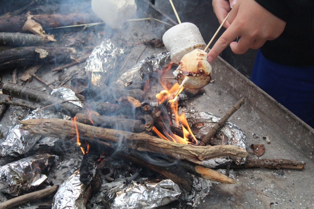 Village Camps International Summer Camp Leysin, Switzerland 2025-08-09 https://www.villagecamps.com/journals_admin/images/2618-1572-IMG_7376.jpg