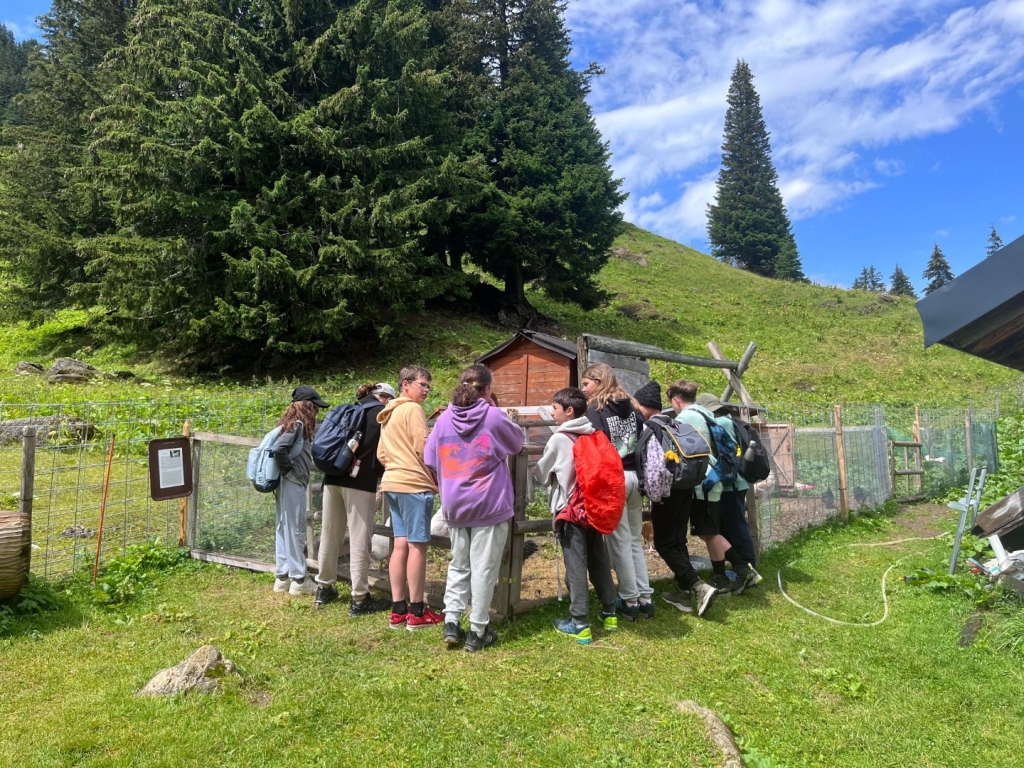 Village Camps International Summer Camp Leysin, Switzerland 2025-08-09 https://www.villagecamps.com/journals_admin/images/2619-5047-VC75.jpg