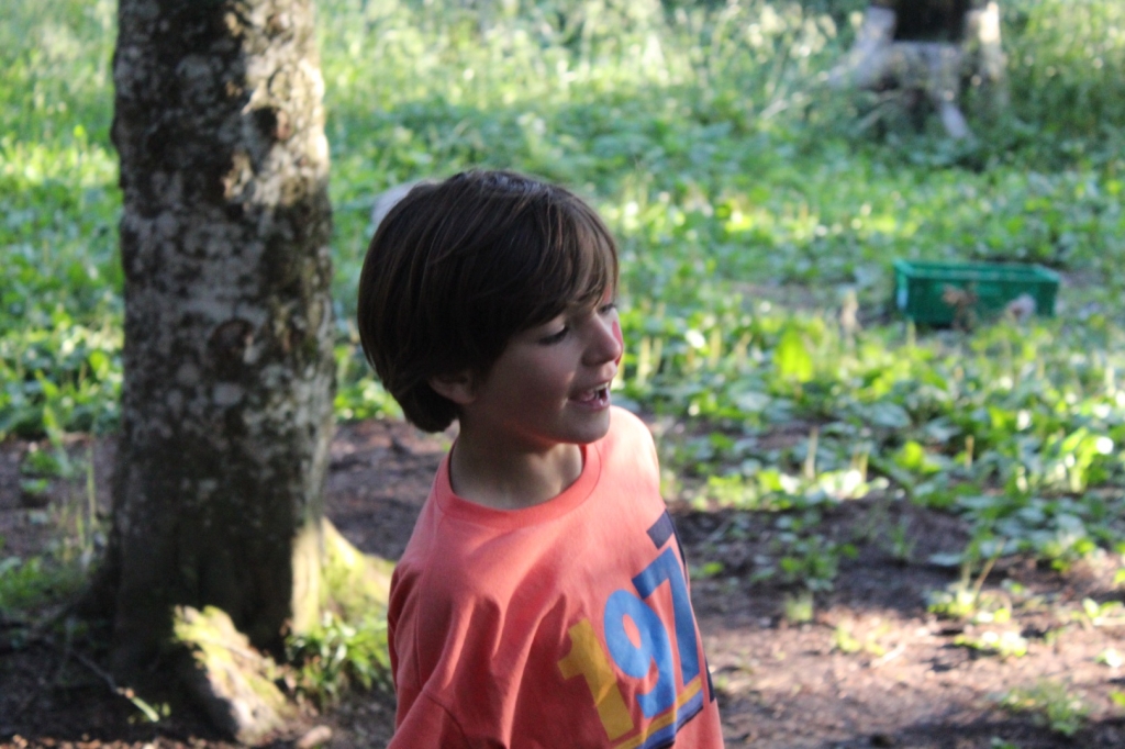 Village Camps International Summer Camp Leysin, Switzerland 2025-08-09 https://www.villagecamps.com/journals_admin/images/2620-2087-IMG_3787.jpg