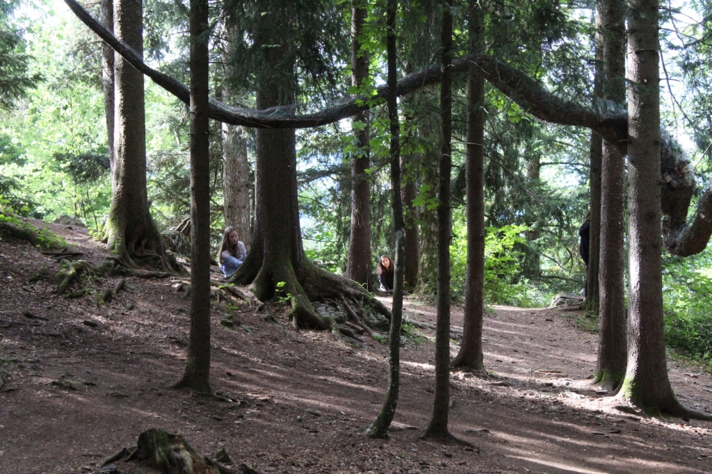 Village Camps International Summer Camp Leysin, Switzerland 2025-08-09 https://www.villagecamps.com/journals_admin/images/2627-4886-IMG_7997.jpg