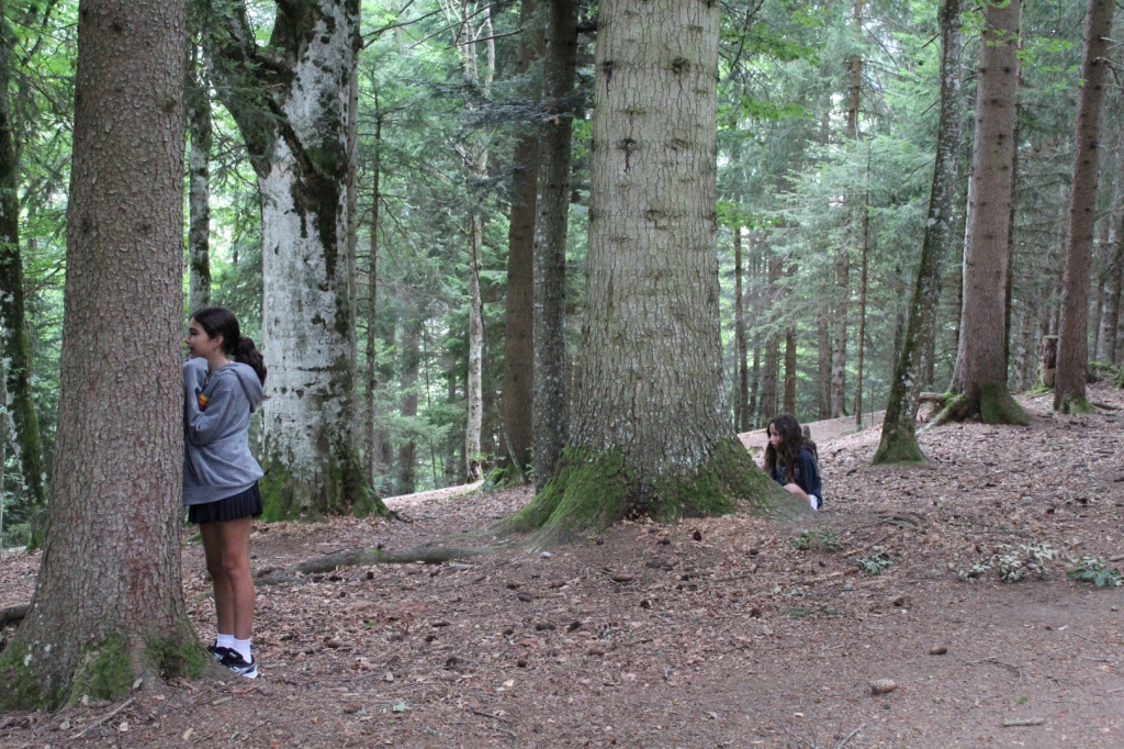 Village Camps International Summer Camp Leysin, Switzerland 2025-08-09 https://www.villagecamps.com/journals_admin/images/2629-9819-IMG_9495.jpg