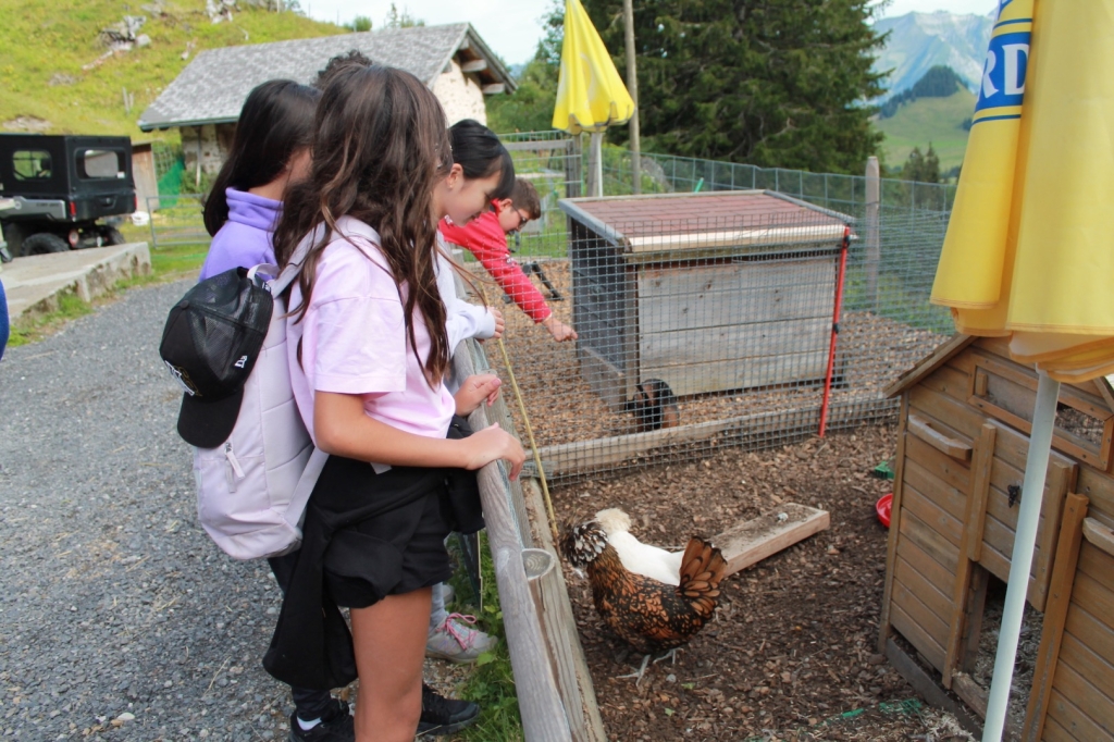 Village Camps International Summer Camp Leysin, Switzerland 2025-08-09 https://www.villagecamps.com/journals_admin/images/2632-5283-IMG_9368.jpg