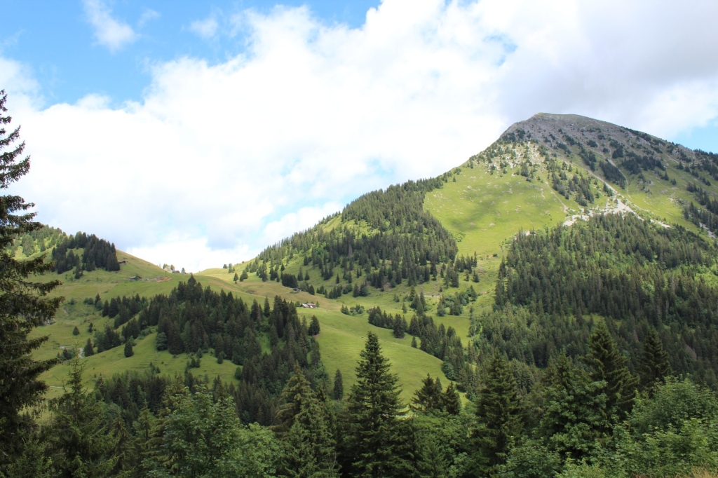 Village Camps International Summer Camp Leysin, Switzerland 2025-08-09 https://www.villagecamps.com/journals_admin/images/2632-7957-IMG_0440.jpg