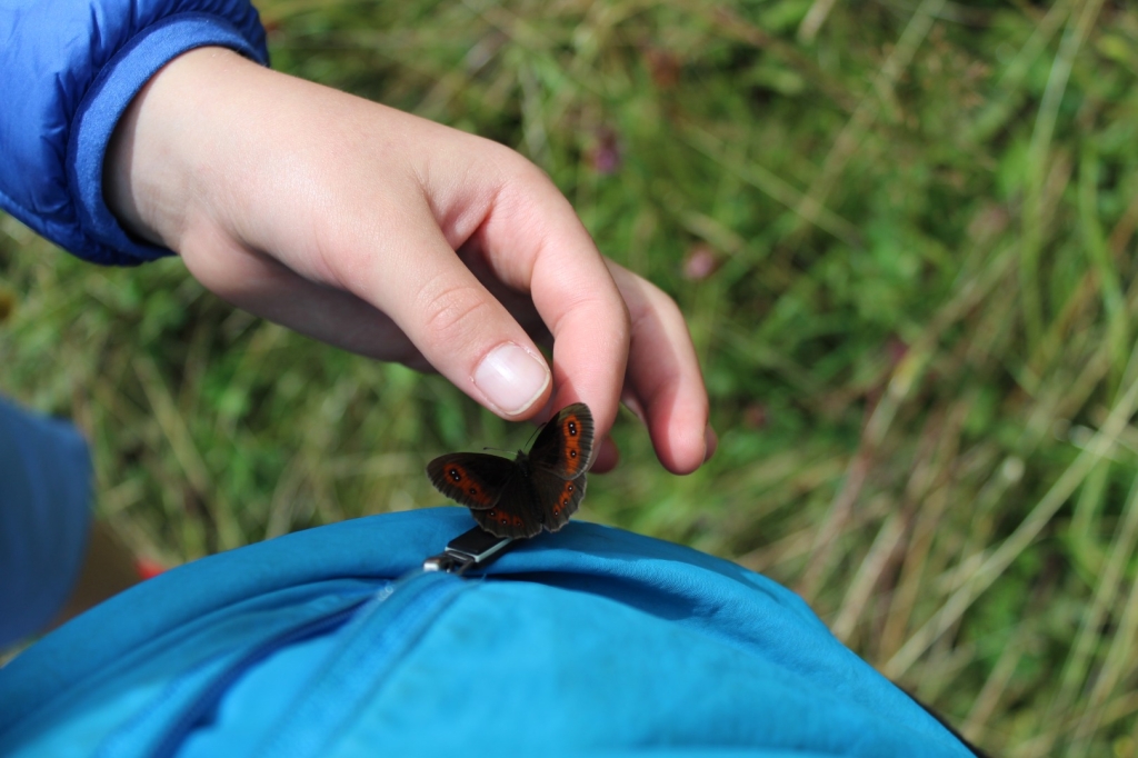Village Camps International Summer Camp Leysin, Switzerland 2025-08-09 https://www.villagecamps.com/journals_admin/images/2632-7957-IMG_0476.jpg