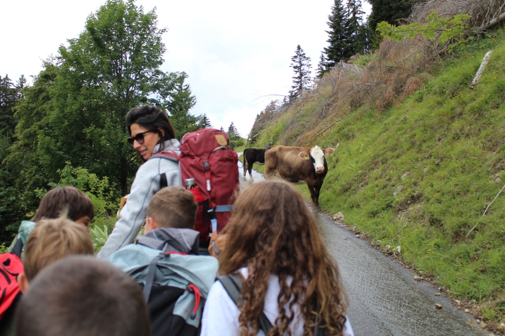 Village Camps International Summer Camp Leysin, Switzerland 2026-08-01 https://www.villagecamps.com/journals_admin/images/2632-7958-IMG_0522.jpg