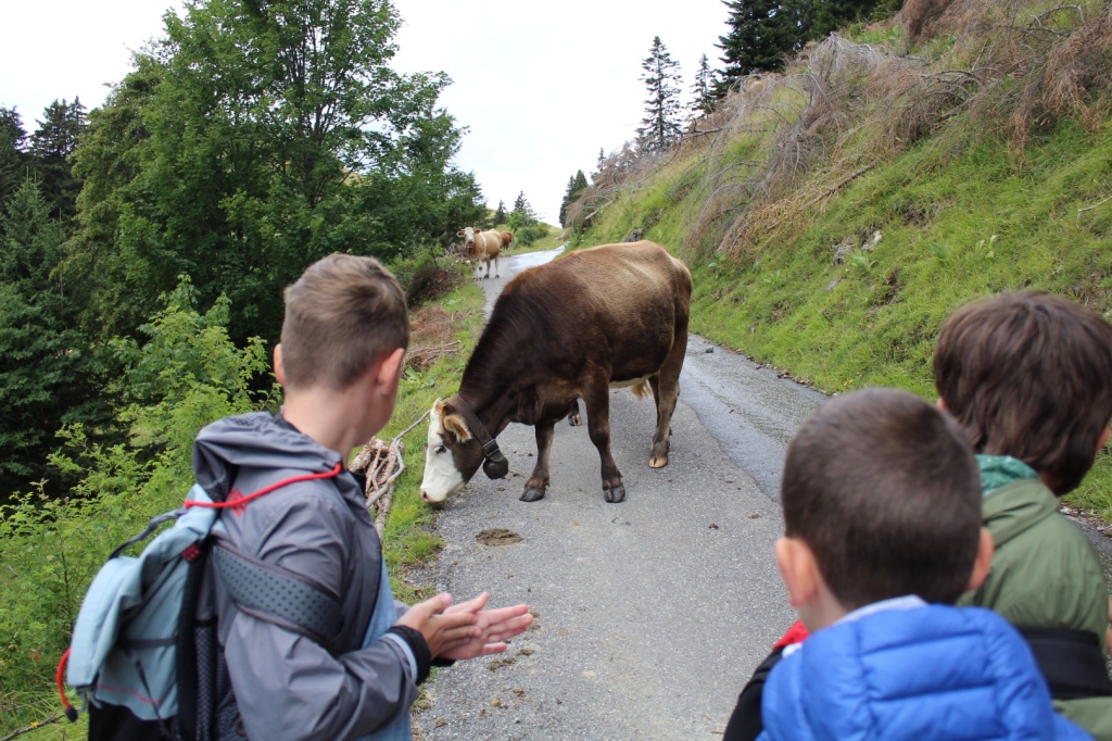 Village Camps International Summer Camp Leysin, Switzerland 2026-08-15 https://www.villagecamps.com/journals_admin/images/2632-7959-IMG_0526.jpg Village Camps International Summer Camp Leysin, Switzerland 2026-08-15 https://www.villagecamps.com/journals_admin/images/2632-7959-IMG_0526.jpg