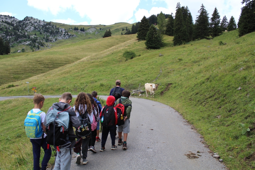 Village Camps International Summer Camp Leysin, Switzerland 2026-08-15 https://www.villagecamps.com/journals_admin/images/2632-7959-IMG_0529.jpg