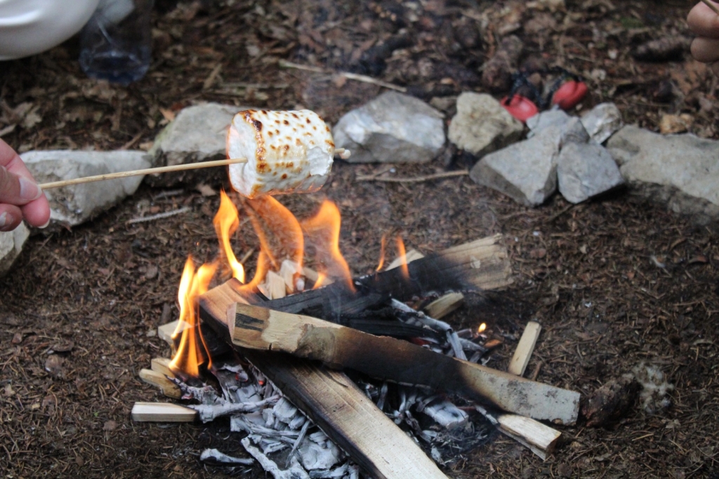 Village Camps International Summer Camp Leysin, Switzerland 2025-08-09 https://www.villagecamps.com/journals_admin/images/2633-1231-IMG_0960.jpg