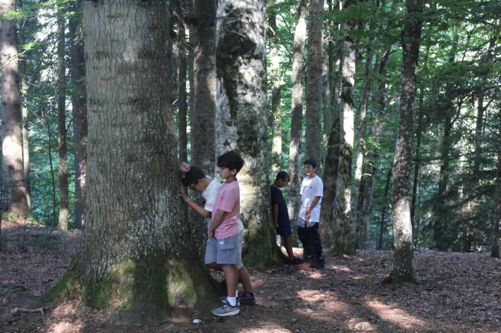Village Camps International Summer Camp Leysin, Switzerland 2025-08-09 https://www.villagecamps.com/journals_admin/images/2636-1883-IMG_1776.jpg