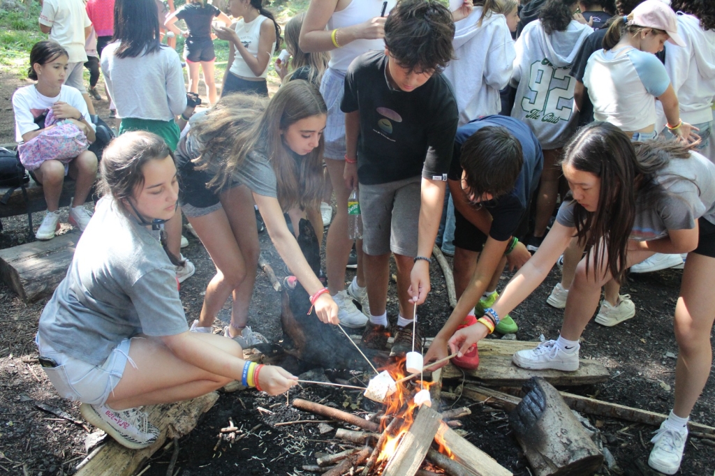 Village Camps International Summer Camp Leysin, Switzerland 2025-08-09 https://www.villagecamps.com/journals_admin/images/2636-1892-IMG_1919.jpg
