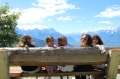 Village Camps International Summer Camp Leysin, Switzerland 2024-07-04