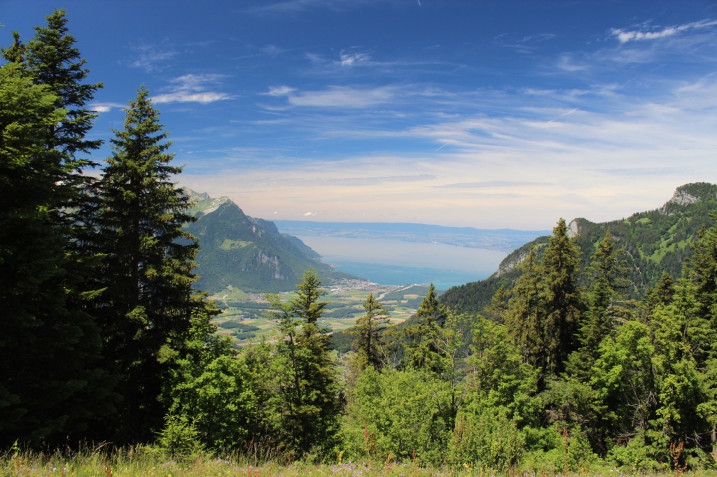 Village Camps International Summer Camp Leysin, Switzerland 2025-08-09 https://www.villagecamps.com/journals_admin/images/2685-9873-IMG_3196.jpg