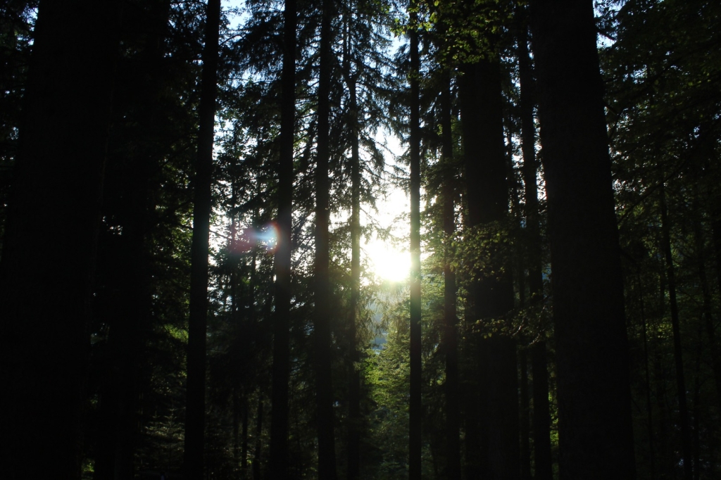 Village Camps International Summer Camp Leysin, Switzerland 2025-08-09 https://www.villagecamps.com/journals_admin/images/2689-8184-IMG_5100.jpg