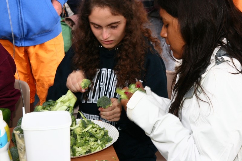 Village Camps International Summer Camp Leysin, Switzerland 2025-08-09 https://www.villagecamps.com/journals_admin/images/396-22-IMG_3971.jpg