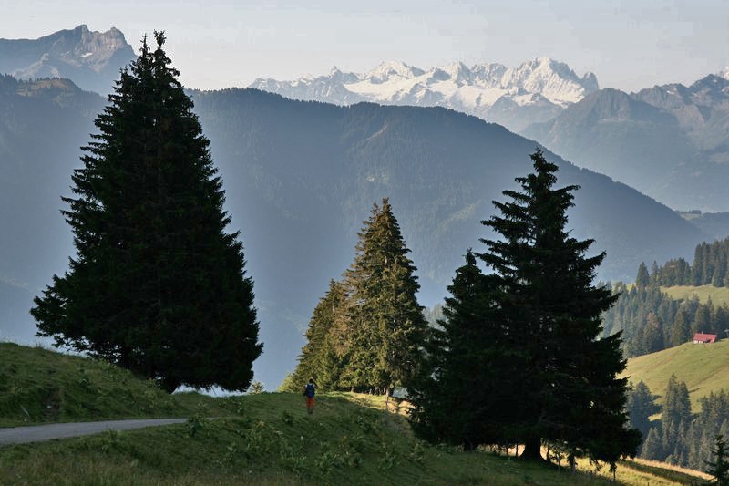 Village Camps International Summer Camp Leysin, Switzerland 2026-08-15 https://www.villagecamps.com/journals_admin/images/401-15-IMG_5008.jpg Village Camps International Summer Camp Leysin, Switzerland 2026-08-15 https://www.villagecamps.com/journals_admin/images/401-15-IMG_5008.jpg