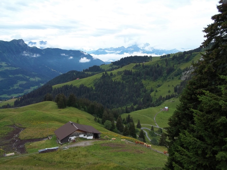 Village Camps International Summer Camp Leysin, Switzerland 2025-08-09 https://www.villagecamps.com/journals_admin/images/405-34-100_0853.jpg