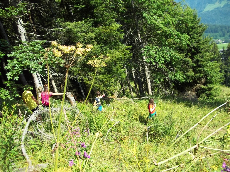 Village Camps International Summer Camp Leysin, Switzerland 2025-08-09 https://www.villagecamps.com/journals_admin/images/405-34-100_0933.jpg