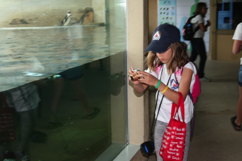 Village Camps International Summer Camp Leysin, Switzerland 2025-08-09 https://www.villagecamps.com/journals_admin/images/412-10-IMG_6319.jpg