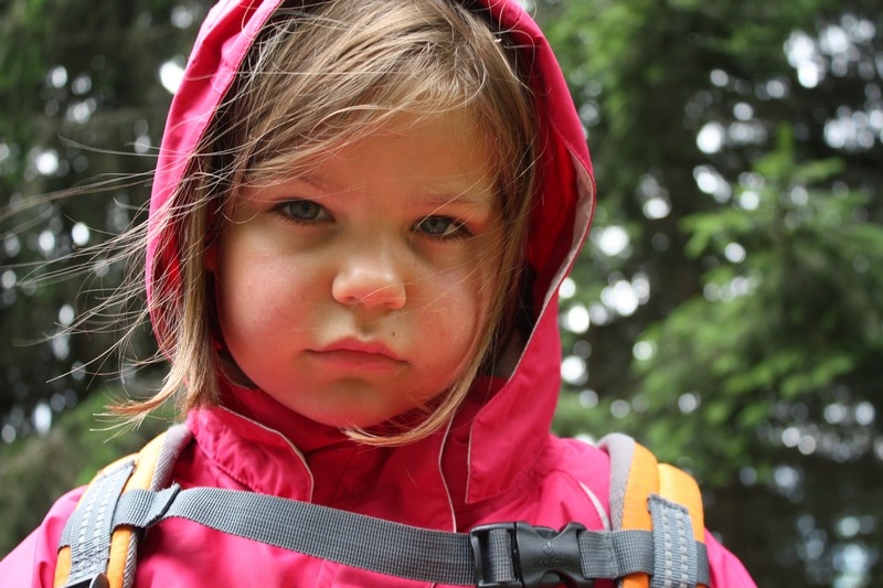Village Camps International Summer Camp Leysin, Switzerland 2025-08-09 https://www.villagecamps.com/journals_admin/images/437-34-IMG_0288.jpg