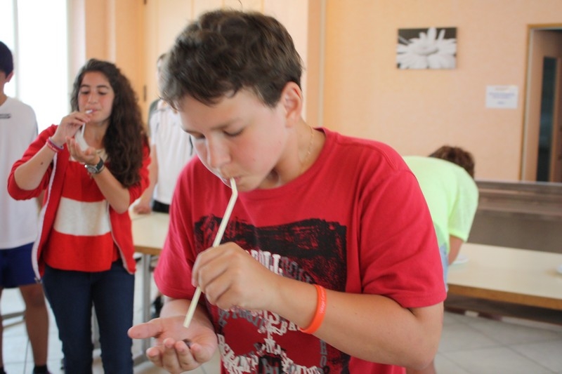 Village Camps International Summer Camp Leysin, Switzerland 2026-08-15 https://www.villagecamps.com/journals_admin/images/437-34-IMG_0314.jpg