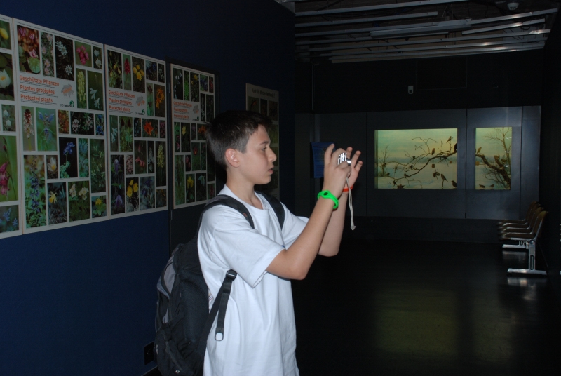 Village Camps International Summer Camp Leysin, Switzerland 2026-07-25 https://www.villagecamps.com/journals_admin/images/439-10-DSC_4522.jpg