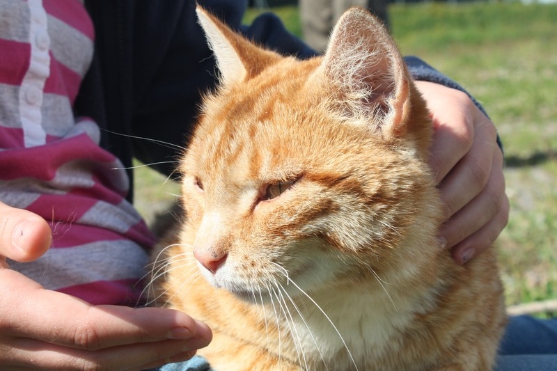 Village Camps International Summer Camp Leysin, Switzerland 2025-08-09 https://www.villagecamps.com/journals_admin/images/504-11-IMG_0563.jpg