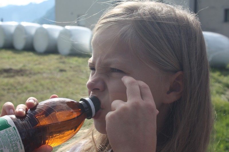 Village Camps International Summer Camp Leysin, Switzerland 2025-08-09 https://www.villagecamps.com/journals_admin/images/530-34-IMG_1984.jpg