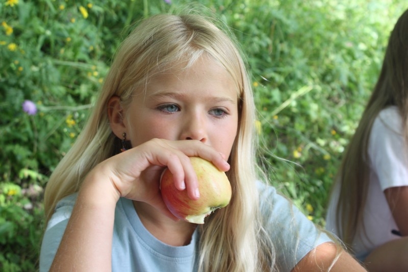 Village Camps International Summer Camp Leysin, Switzerland 2025-08-09 https://www.villagecamps.com/journals_admin/images/530-34-IMG_2024.jpg