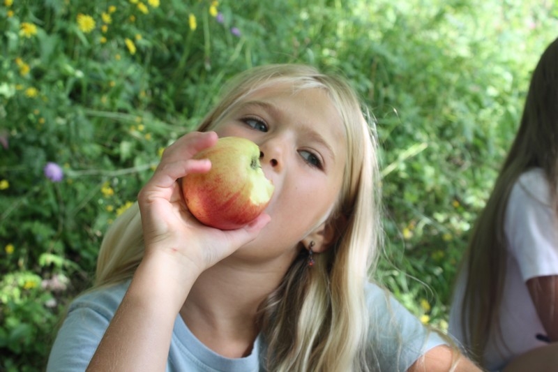 Village Camps International Summer Camp Leysin, Switzerland 2025-08-09 https://www.villagecamps.com/journals_admin/images/530-34-IMG_2025.jpg