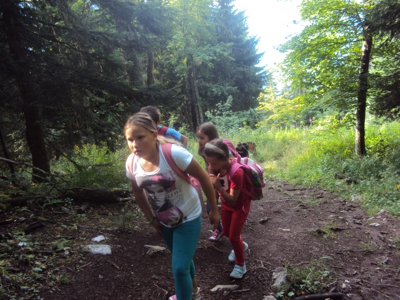 Village Camps International Summer Camp Leysin, Switzerland 2026-08-15 https://www.villagecamps.com/journals_admin/images/590-16-DSC04419.jpg Village Camps International Summer Camp Leysin, Switzerland 2026-08-15 https://www.villagecamps.com/journals_admin/images/590-16-DSC04419.jpg