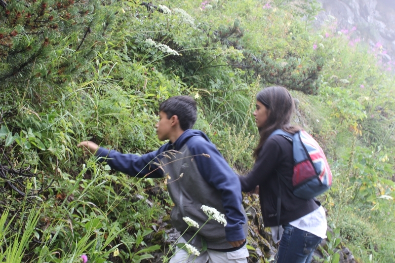 Village Camps International Summer Camp Leysin, Switzerland 2025-08-09 https://www.villagecamps.com/journals_admin/images/594-16-IMG_2433.jpg