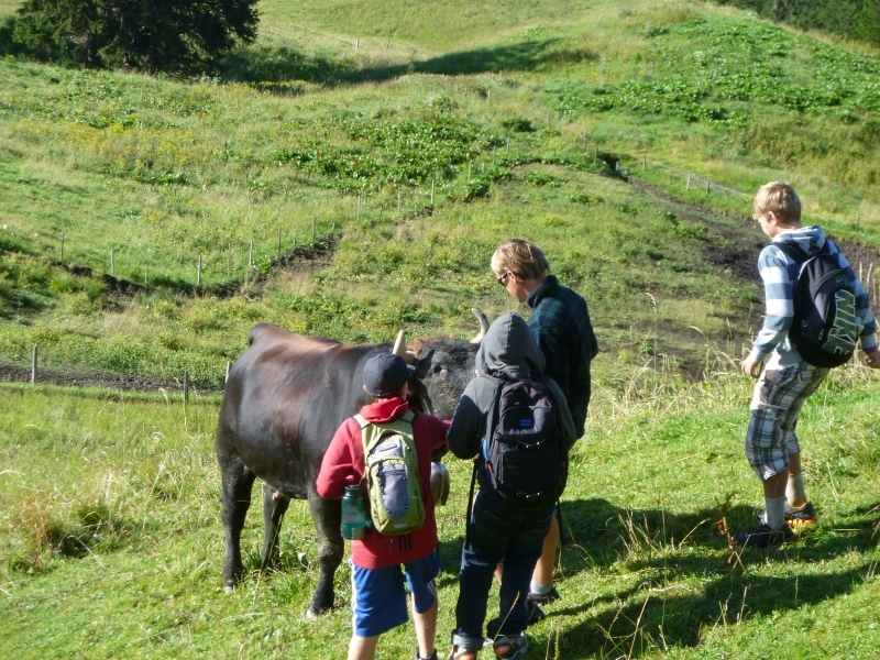 Village Camps International Summer Camp Leysin, Switzerland 2026-08-15 https://www.villagecamps.com/journals_admin/images/595-16-P1030316.jpg Village Camps International Summer Camp Leysin, Switzerland 2026-08-15 https://www.villagecamps.com/journals_admin/images/595-16-P1030316.jpg
