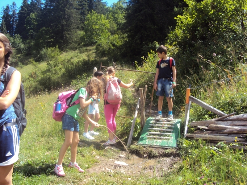 Village Camps International Summer Camp Leysin, Switzerland 2025-08-09 https://www.villagecamps.com/journals_admin/images/596-16-DSC04642.jpg