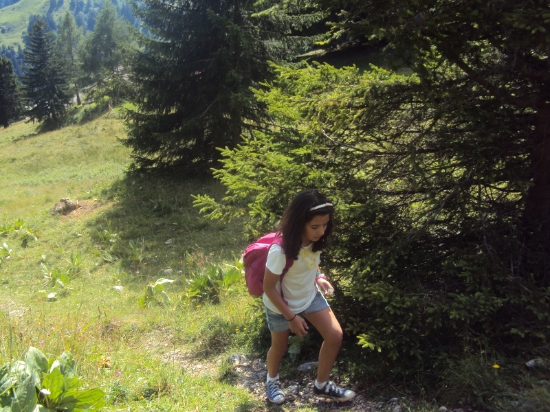 Village Camps International Summer Camp Leysin, Switzerland 2025-08-09 https://www.villagecamps.com/journals_admin/images/596-16-DSC04663.jpg
