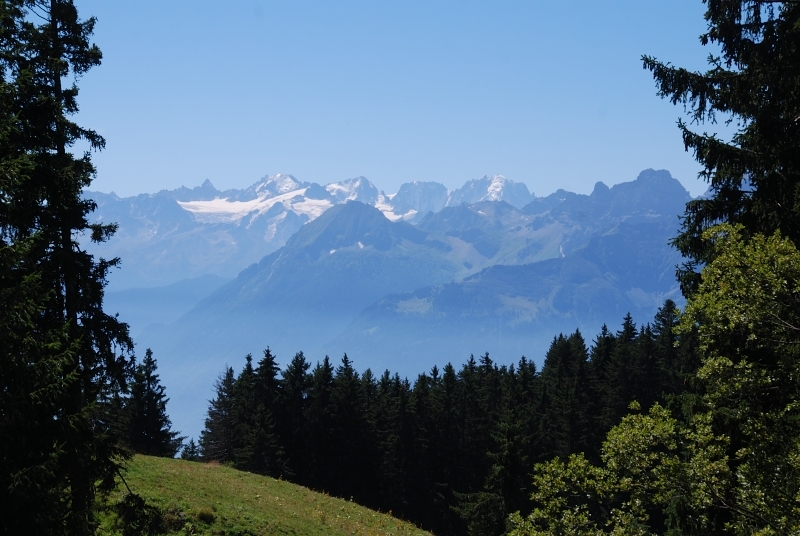 Village Camps International Summer Camp Leysin, Switzerland 2025-08-09 https://www.villagecamps.com/journals_admin/images/619-34-DSC_9491.jpg