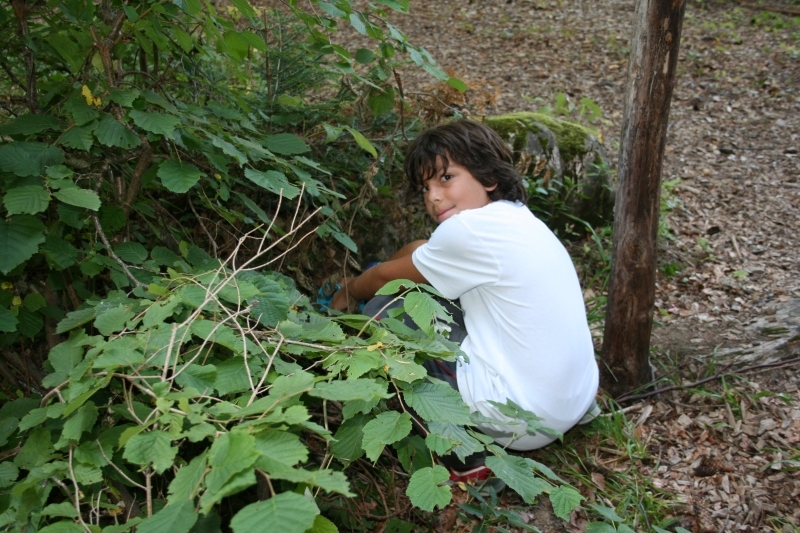 Village Camps International Summer Camp Leysin, Switzerland 2025-08-09 https://www.villagecamps.com/journals_admin/images/622-34-IMG_2365.jpg