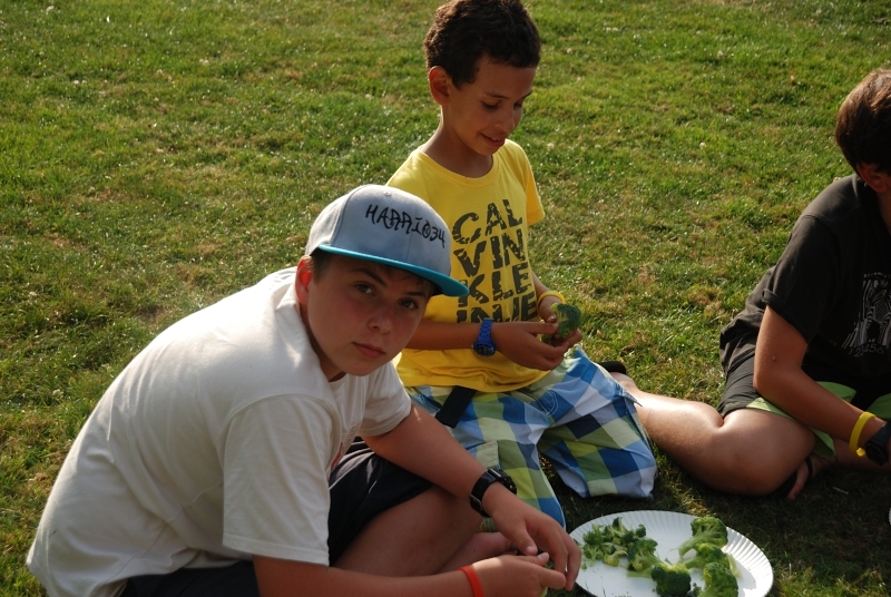 Village Camps International Summer Camp Leysin, Switzerland 2025-08-09 https://www.villagecamps.com/journals_admin/images/624-34-DSC_0706.jpg