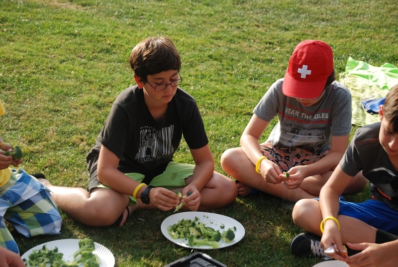 Village Camps International Summer Camp Leysin, Switzerland 2026-07-26 https://www.villagecamps.com/journals_admin/images/624-34-DSC_0707.jpg