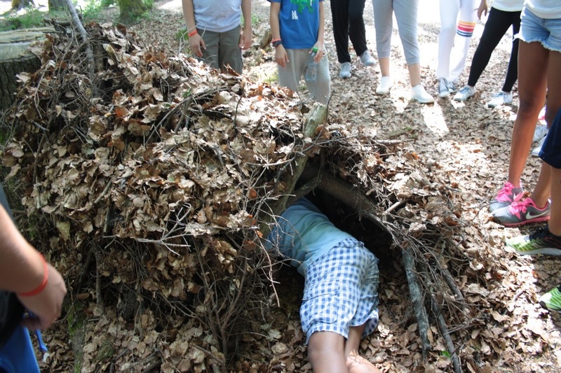Village Camps International Summer Camp Leysin, Switzerland 2025-08-09 https://www.villagecamps.com/journals_admin/images/659-11-IMG_7090.jpg