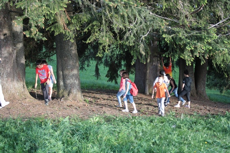 Village Camps International Summer Camp Leysin, Switzerland 2025-08-09 https://www.villagecamps.com/journals_admin/images/659-14-IMG_7165.jpg