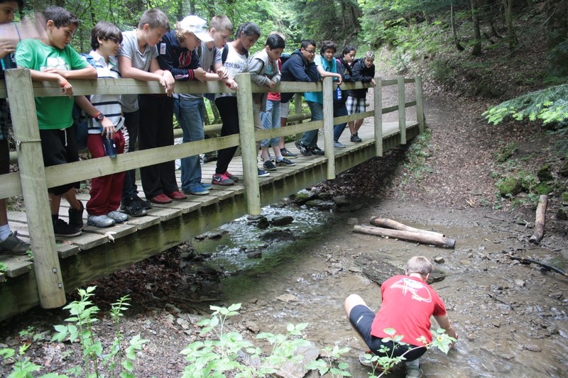 Village Camps International Summer Camp Leysin, Switzerland 2026-08-15 https://www.villagecamps.com/journals_admin/images/664-23-IMG_8103.jpg Village Camps International Summer Camp Leysin, Switzerland 2026-08-15 https://www.villagecamps.com/journals_admin/images/664-23-IMG_8103.jpg