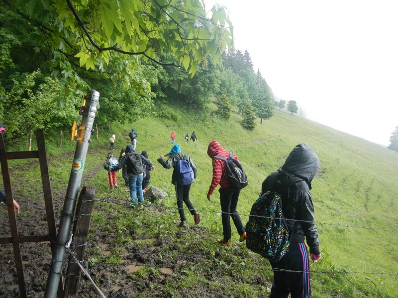 Village Camps International Summer Camp Leysin, Switzerland 2025-08-09 https://www.villagecamps.com/journals_admin/images/668-16-DSCN5132.jpg
